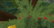 2025-07-21_00.20.02.webp