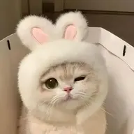 HeLumonka
