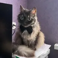 Мистэйкс
