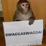Tarzanius9