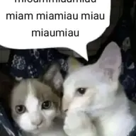 ilnss