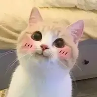 DaBiK_