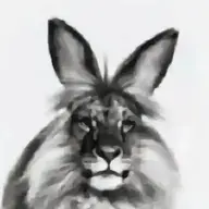 kama169