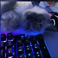 mistermaster_x42