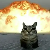_Opywka_